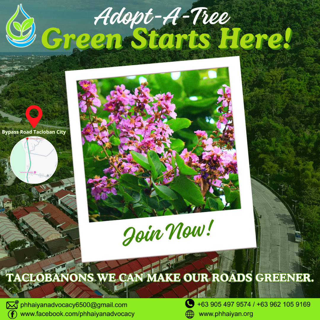 Help Banaba Trees Bloom Along Tacloban Bypass Road!