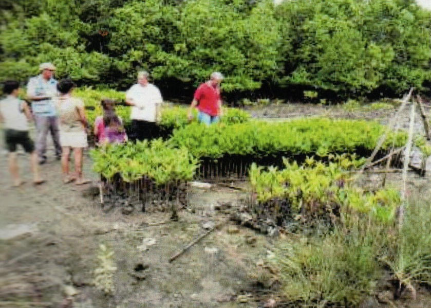 Project 1. Nursery Seedling Production